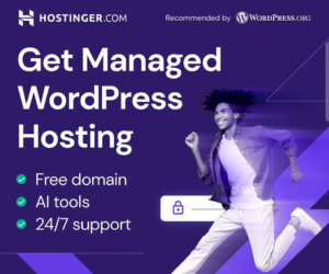 Hostinger Promo Code 3